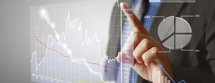 Diversifizierung Investitionsgrantien